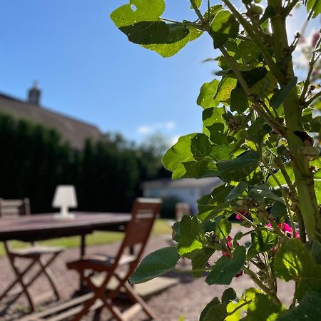 La Fedrie Bed & Breakfast La Croix-en-Touraine Eksteriør bilde