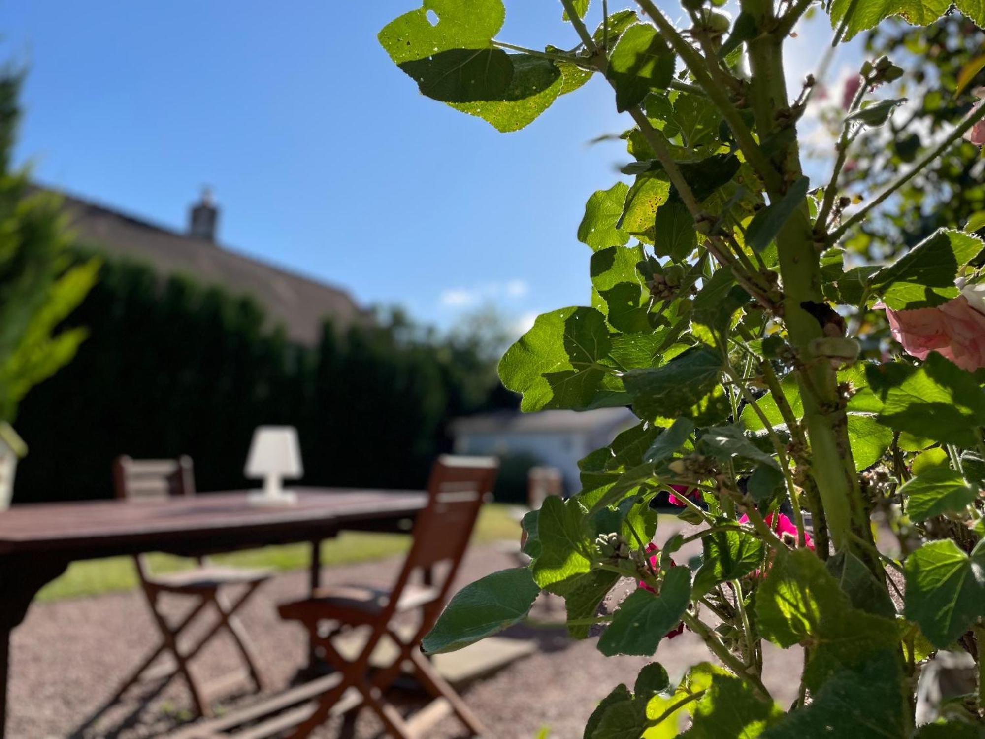 La Fedrie Bed & Breakfast La Croix-en-Touraine Eksteriør bilde